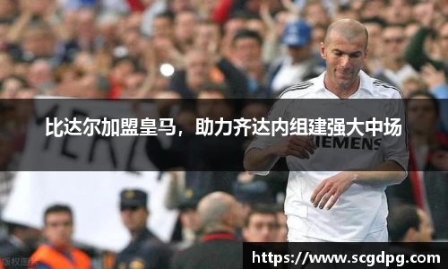 伟德bv国际体育